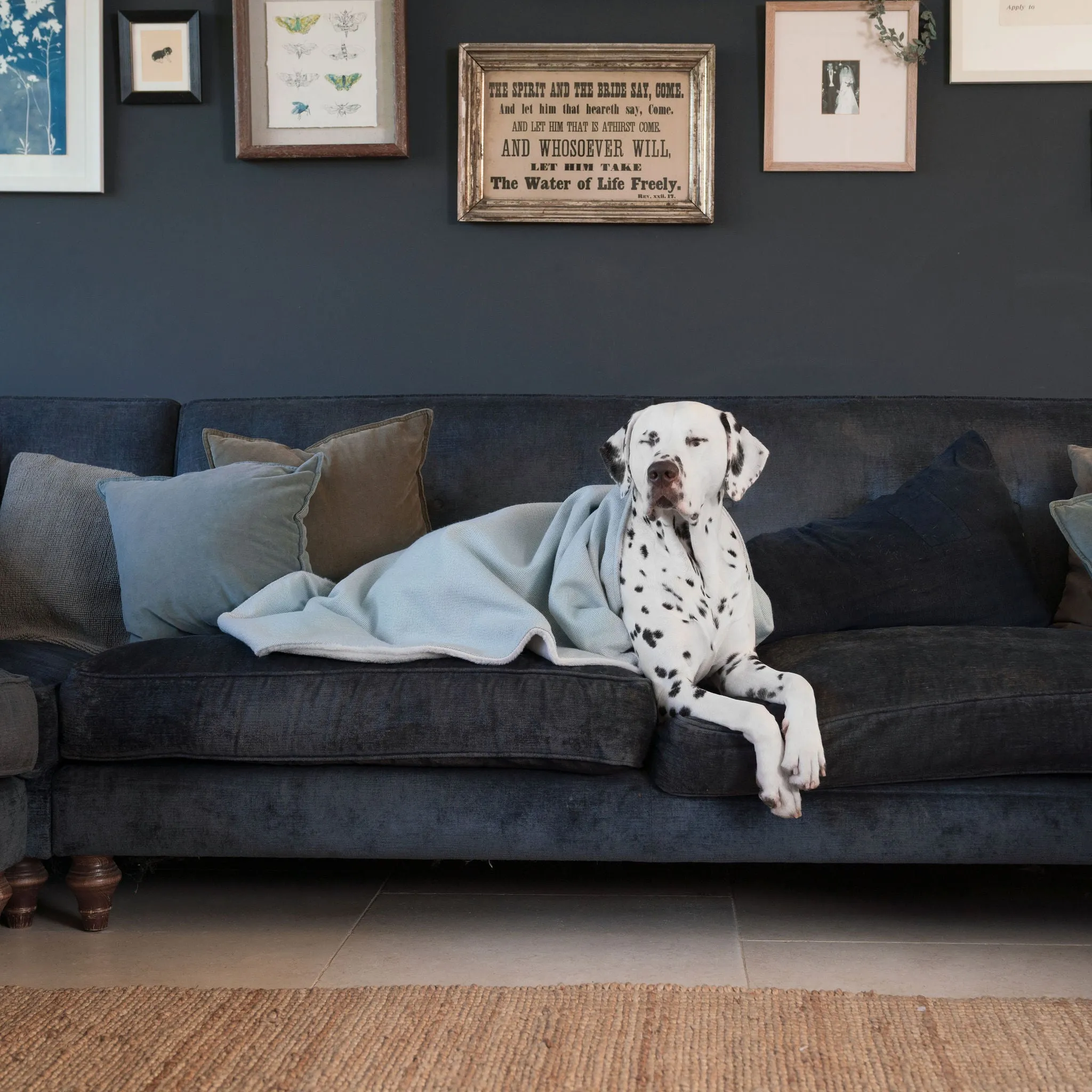 Dog & Puppy Blanket in Herringbone Tweed by Lords & Labradors