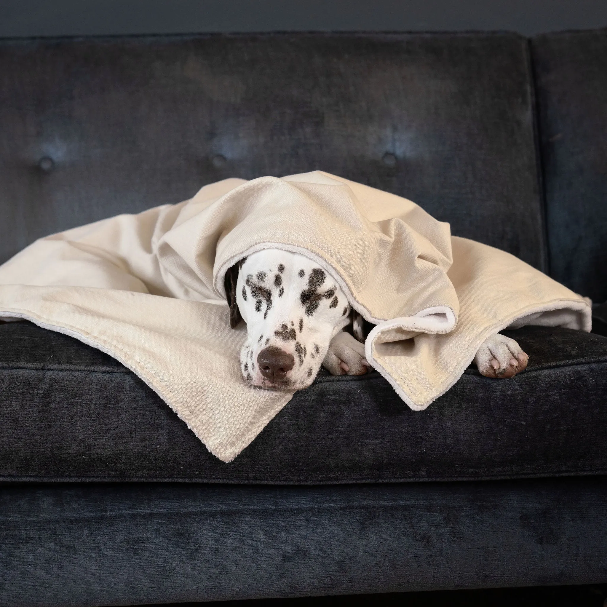 Dog & Puppy Blanket in Savanna Bone by Lords & Labradors