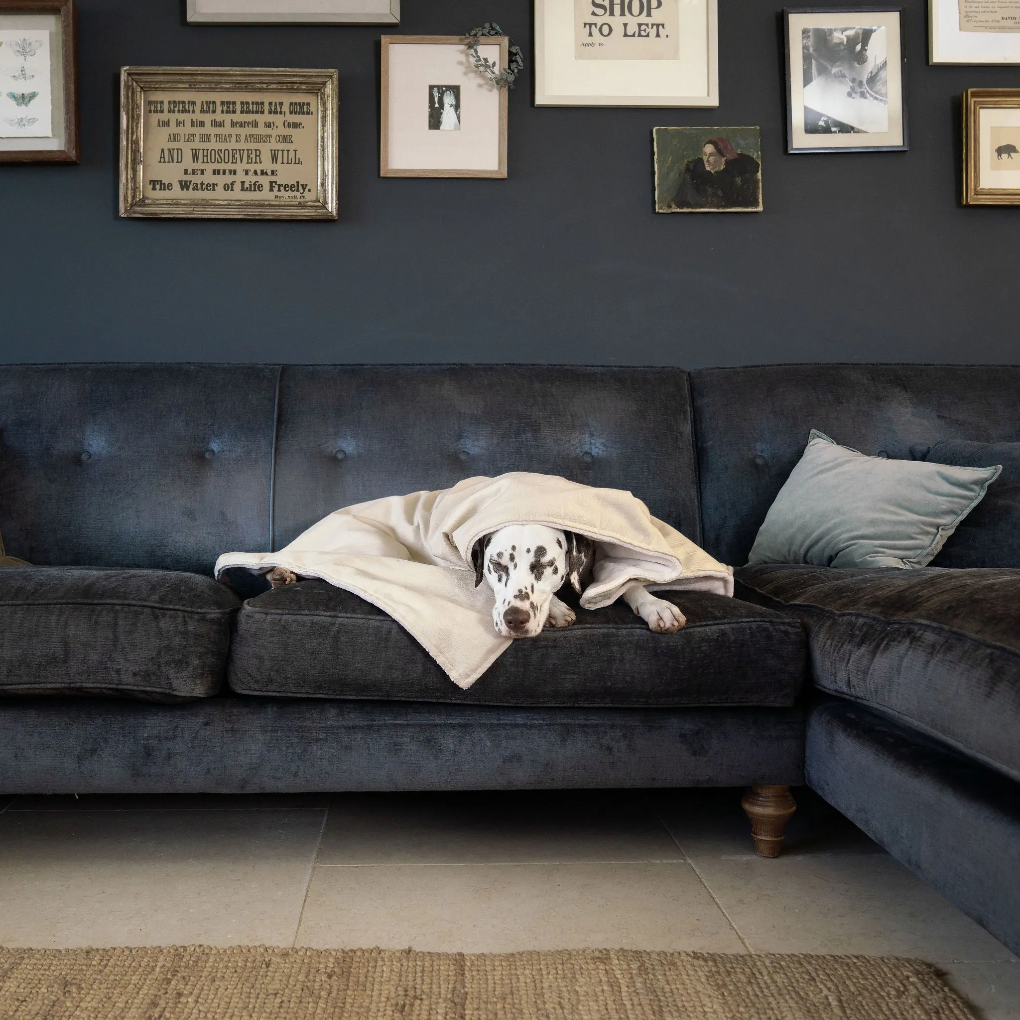 Dog & Puppy Blanket in Savanna Bone by Lords & Labradors