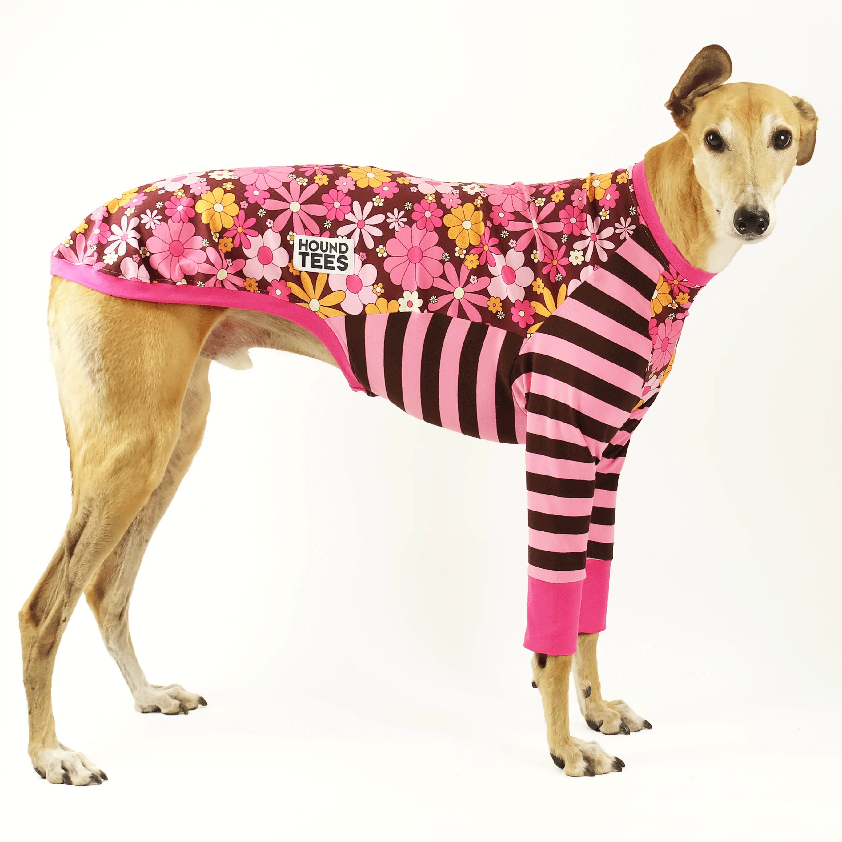 Flower Power Greyhound Long Sleeve Hound-Tee