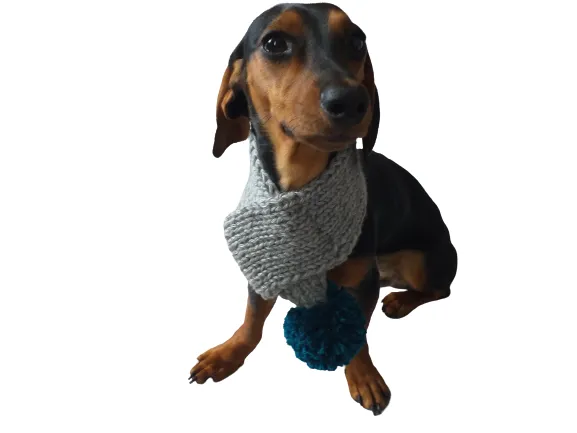 Handmade knitted scarf for dog