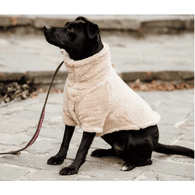 Kentucky - Maglione per cani Teddy Fleece