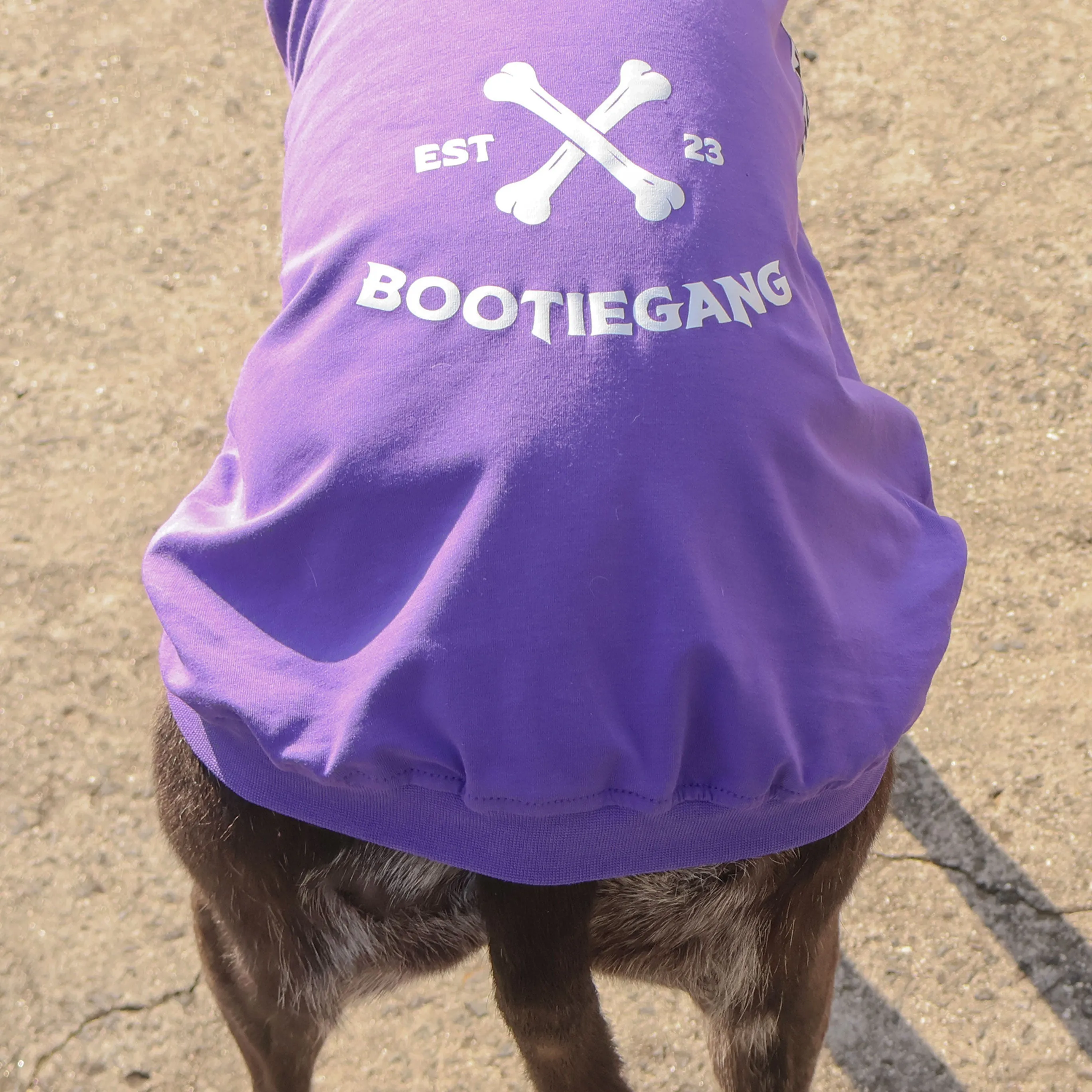 PRE-ORDER Snooties Booties Collab "Bootie Gang" Tee