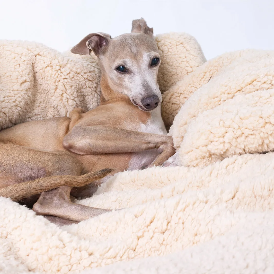 Sherpa Fleece Dog Blanket