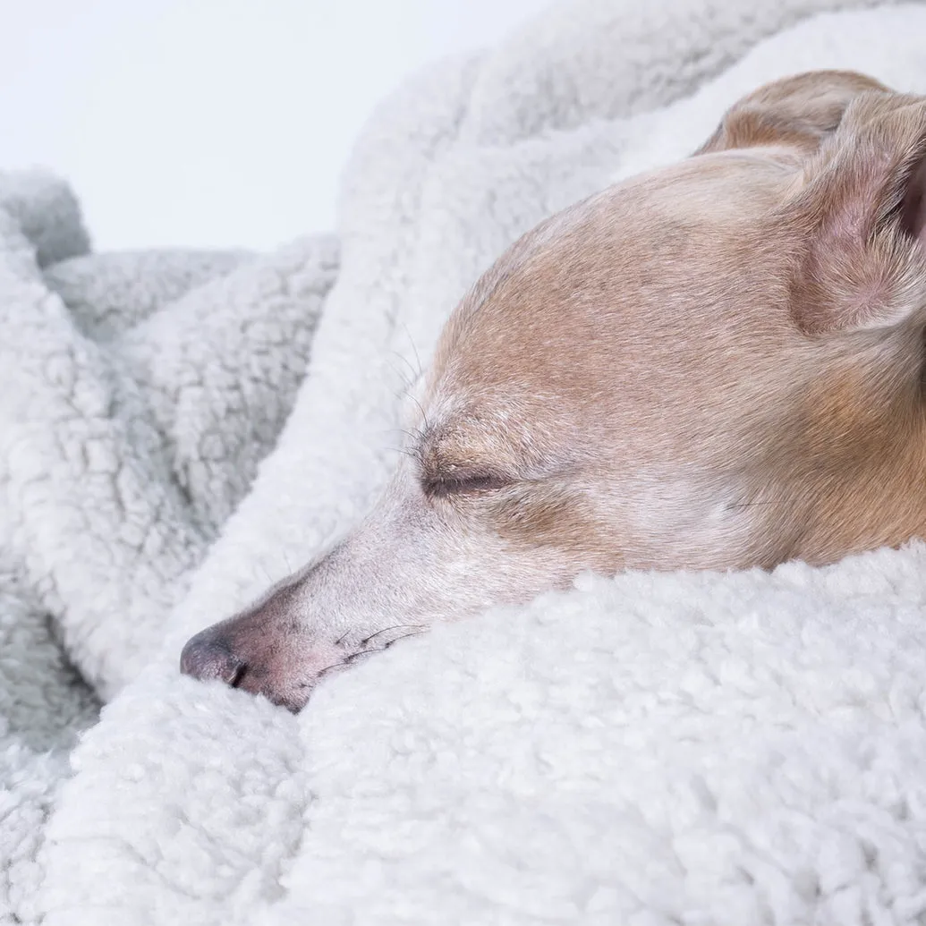 Sherpa Fleece Dog Blanket