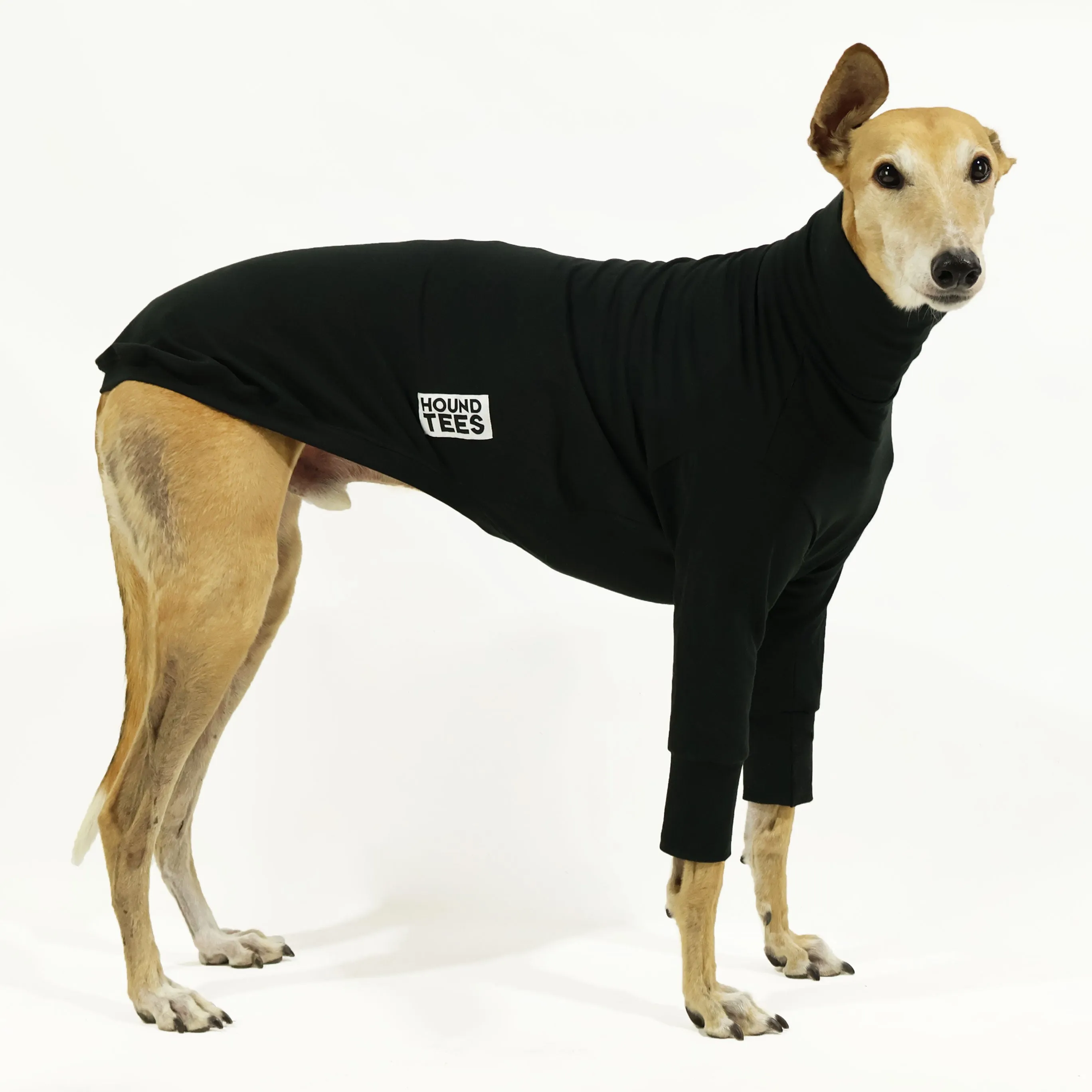 The Melbourne Greyhound Long Sleeve Base Layer