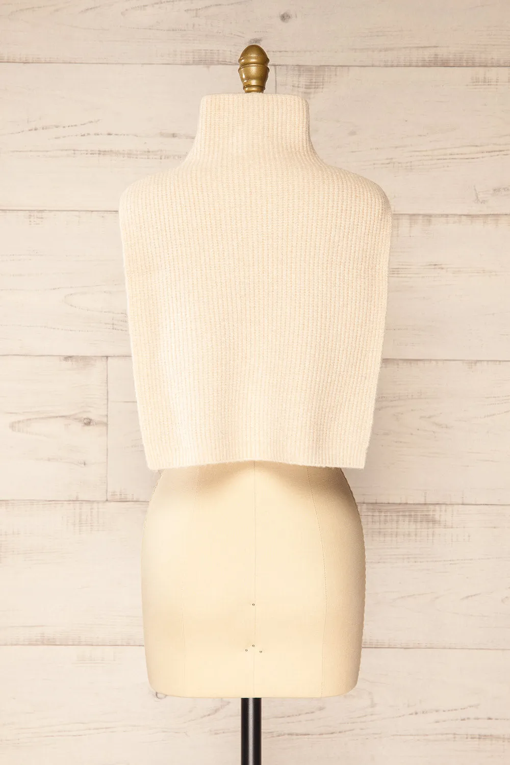 Zigong Ivory | High Neck Collar w/ Zipper